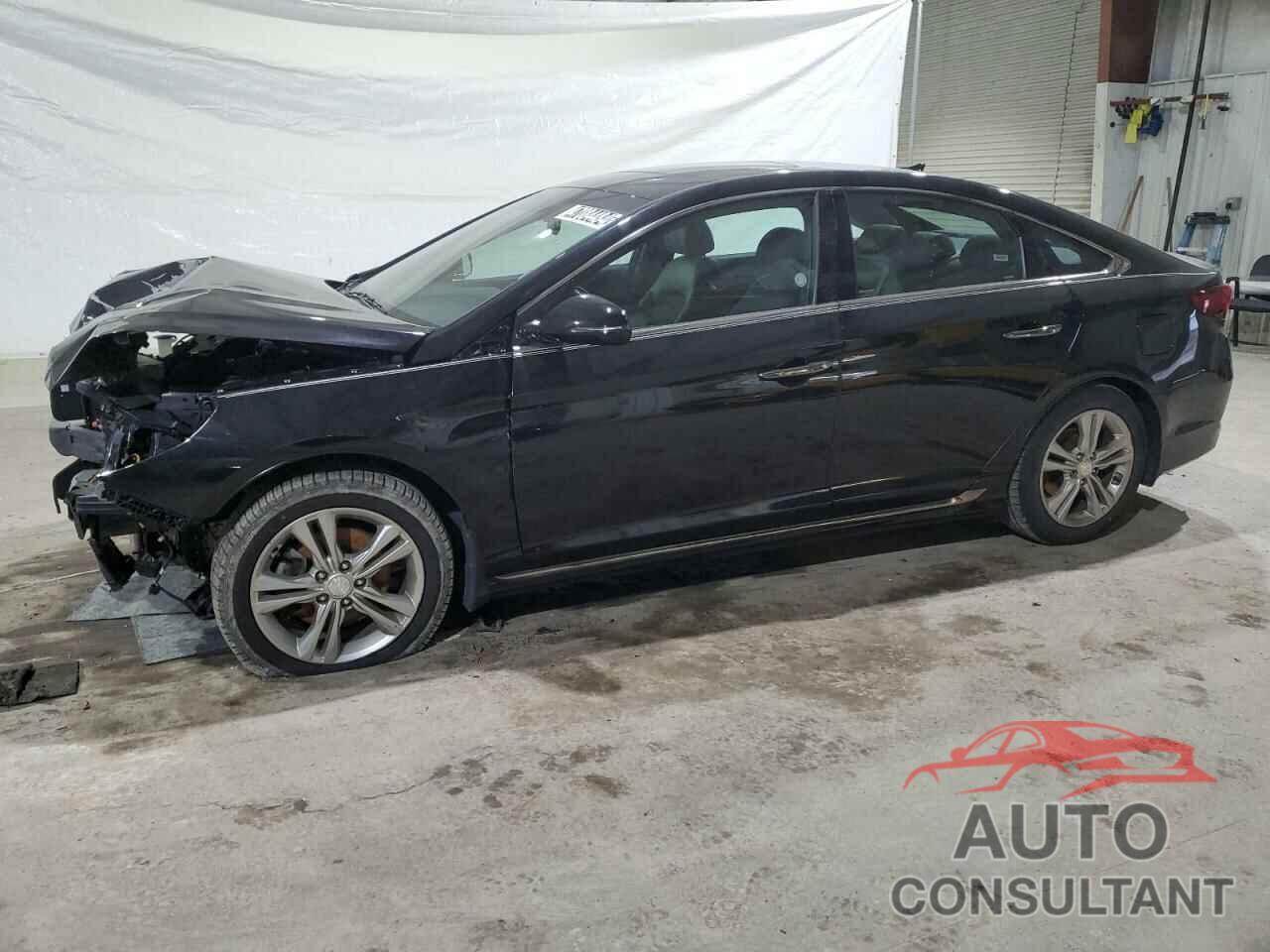 HYUNDAI SONATA 2019 - 5NPE34AF0KH790817
