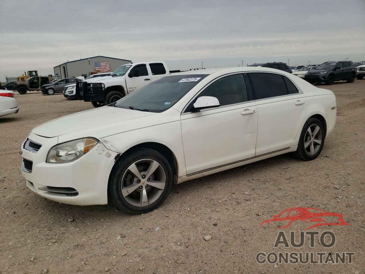 CHEVROLET MALIBU 2010 - 1G1ZD5EB2AF250365