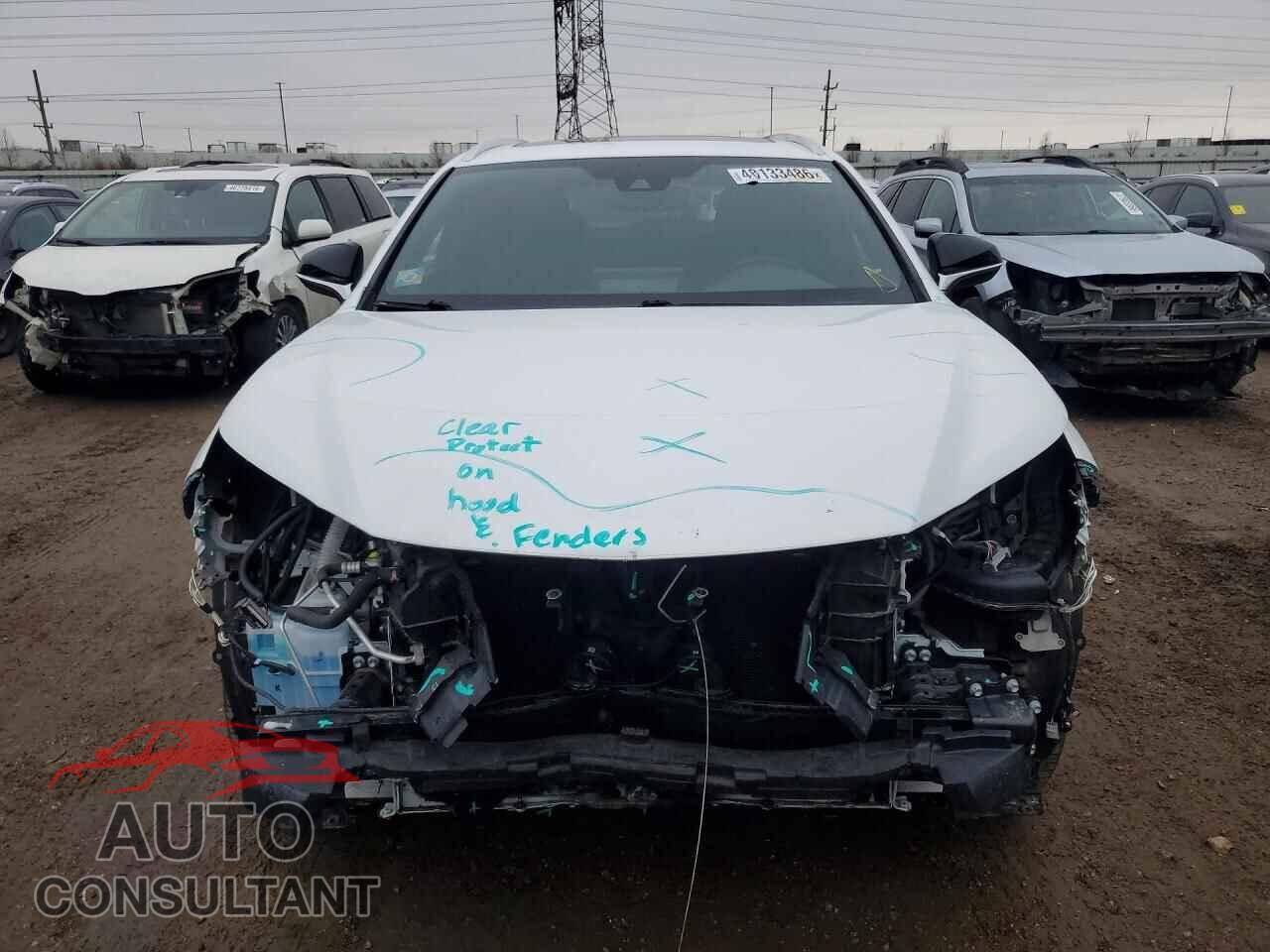 LEXUS NX 2020 - JTJSARDZ9L5013305