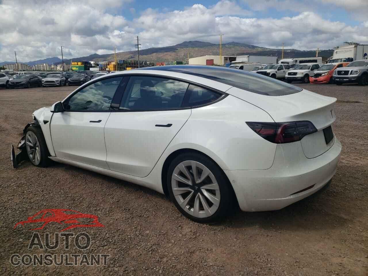 TESLA MODEL 3 2021 - 5YJ3E1EAXMF031821