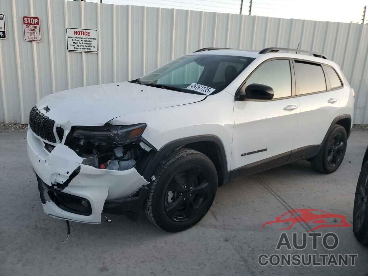 JEEP CHEROKEE A 2023 - 1C4PJMMB1PD103154
