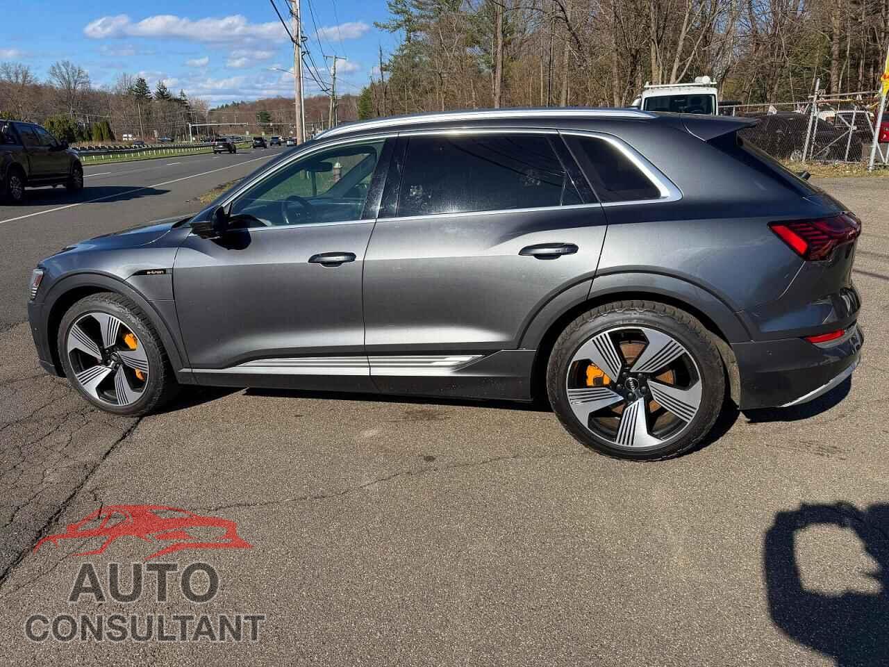 AUDI E-TRON 2019 - WA1VAAGE7KB006583