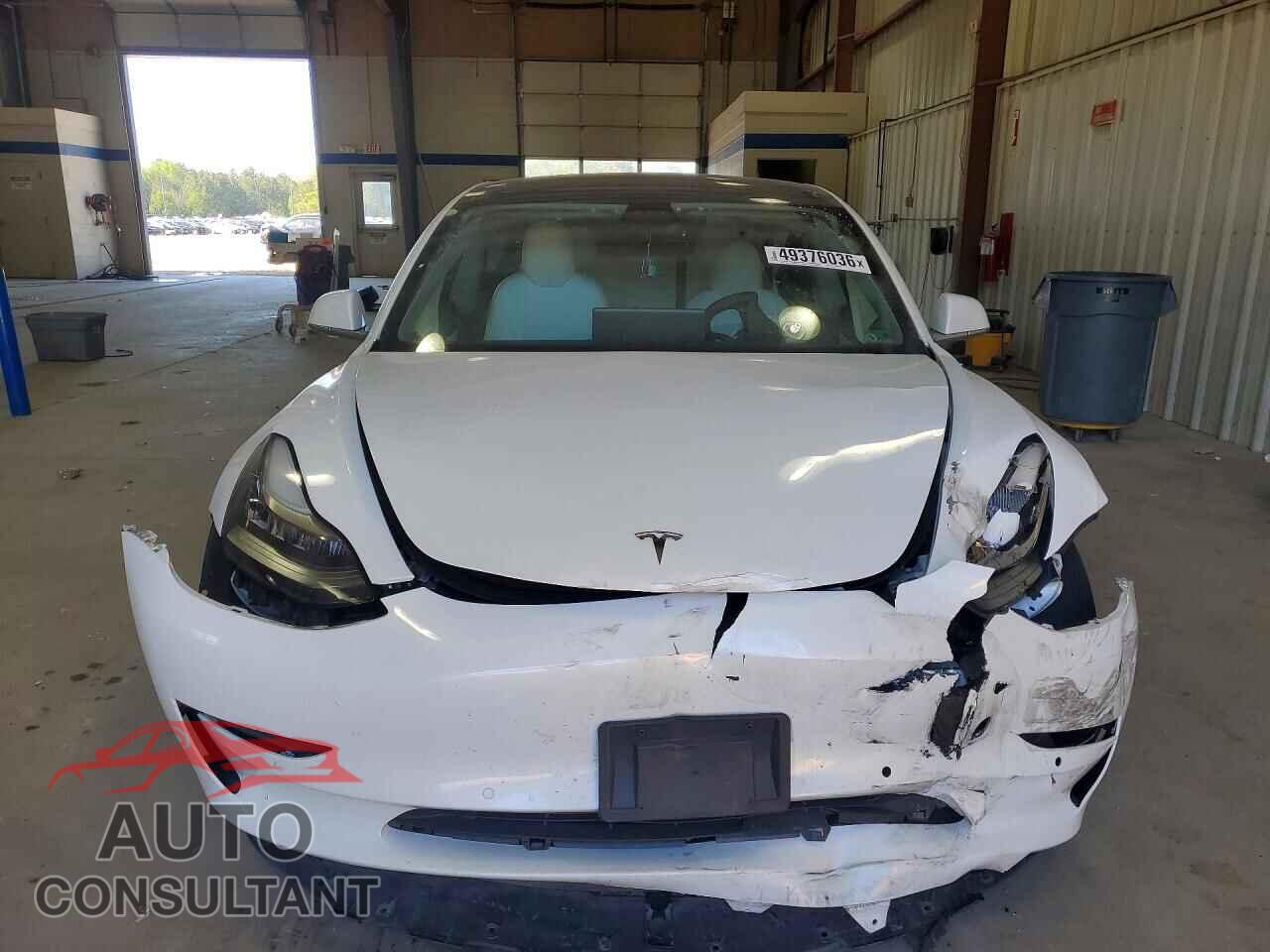 TESLA MODEL 3 2019 - 5YJ3E1EAXKF486262