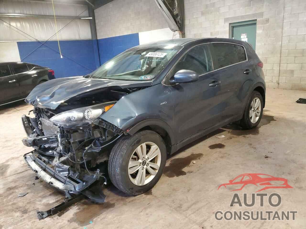 KIA SPORTAGE 2017 - KNDPMCAC3H7186097