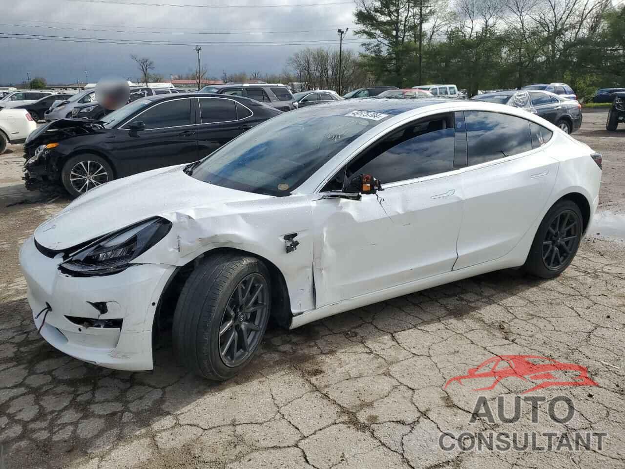 TESLA MODEL 3 2019 - 5YJ3E1EA5KF483253