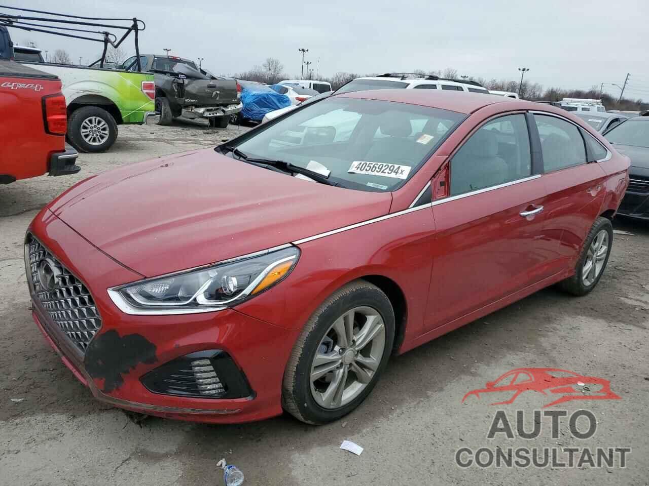 HYUNDAI SONATA 2019 - 5NPE34AF2KH788809