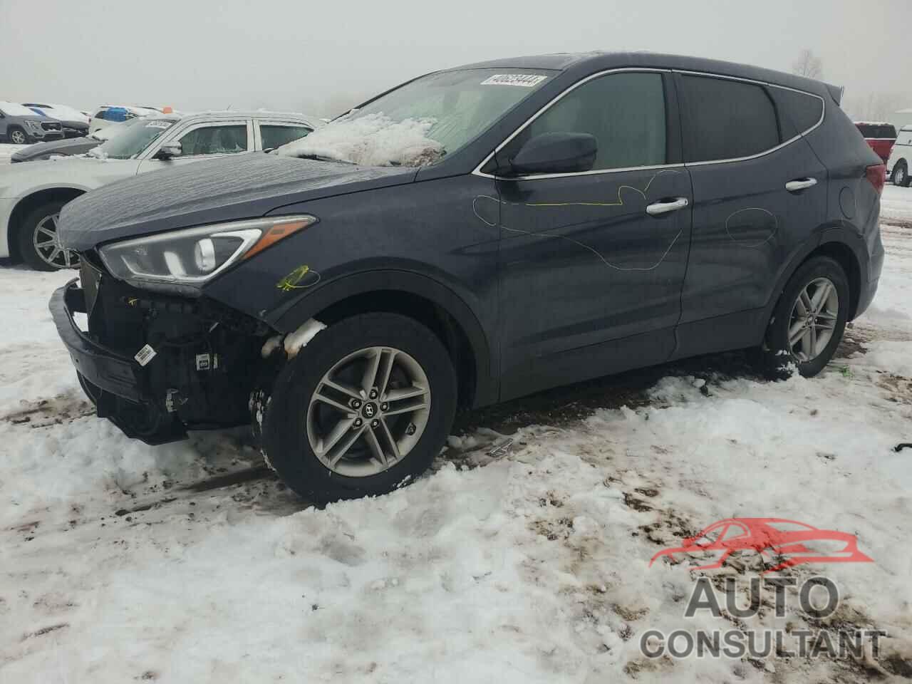 HYUNDAI SANTA FE 2017 - 5NMZTDLB2HH004890