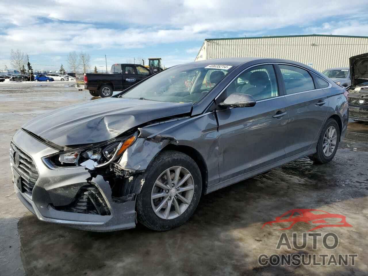 HYUNDAI SONATA 2018 - 5NPE24AF3JH663030