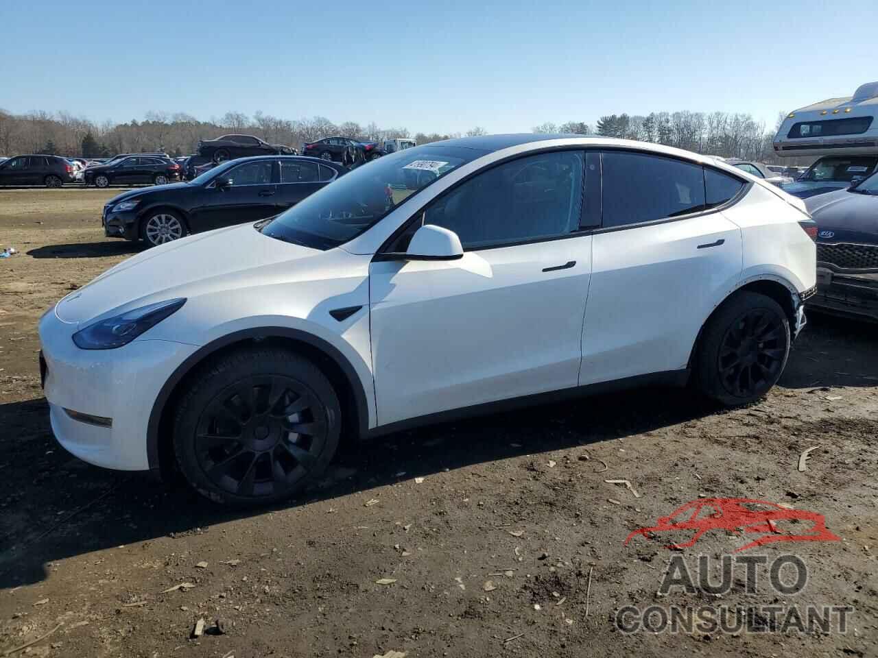 TESLA MODEL Y 2023 - 7SAYGDEEXPF758551