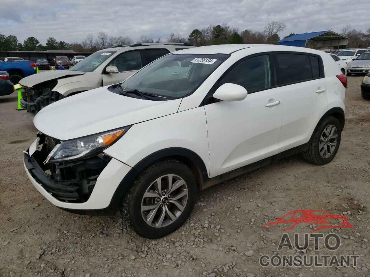 KIA SPORTAGE 2016 - KNDPB3AC8G7846512