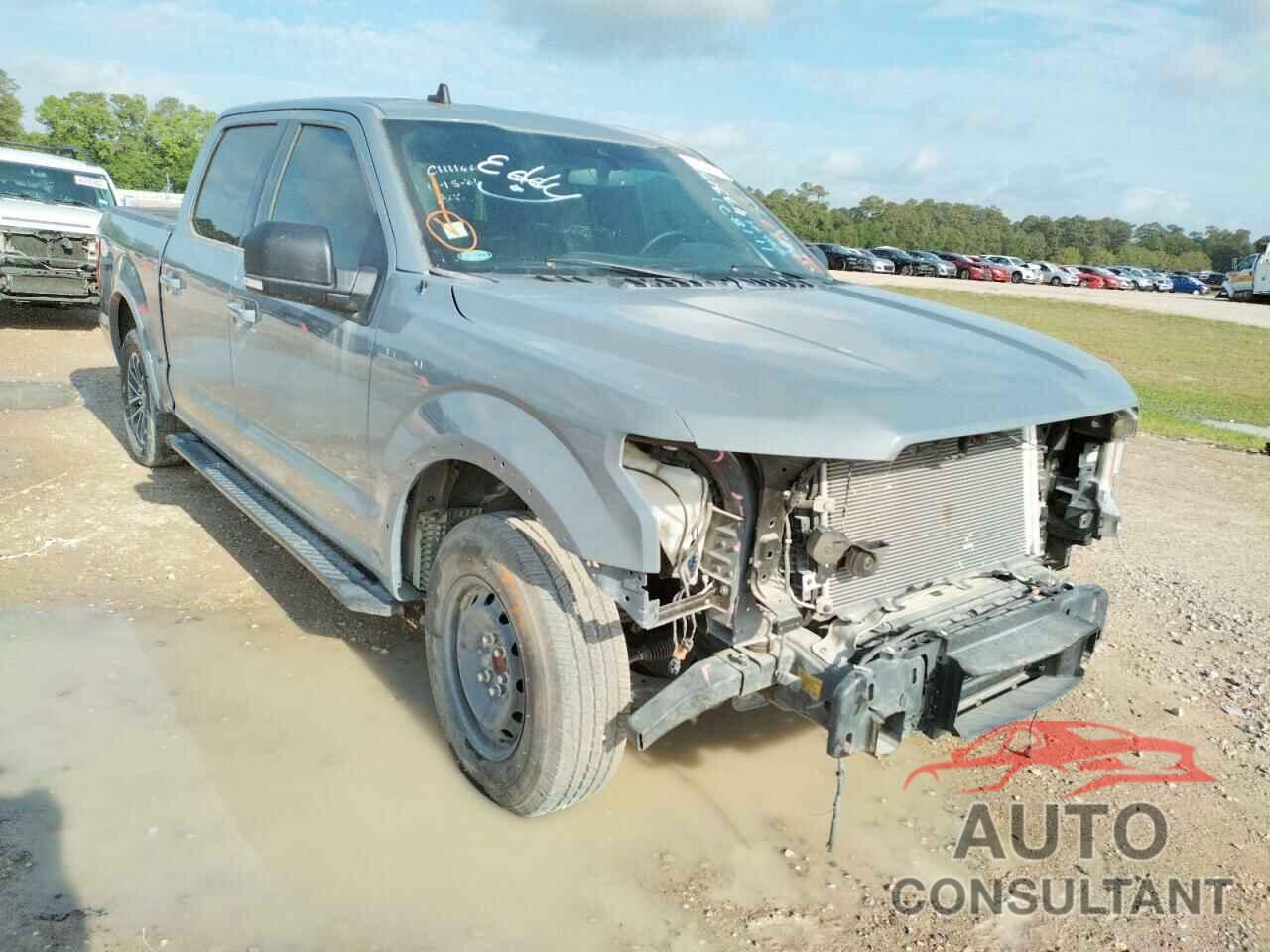 FORD F-150 2019 - 1FTEW1CP8KKE90746