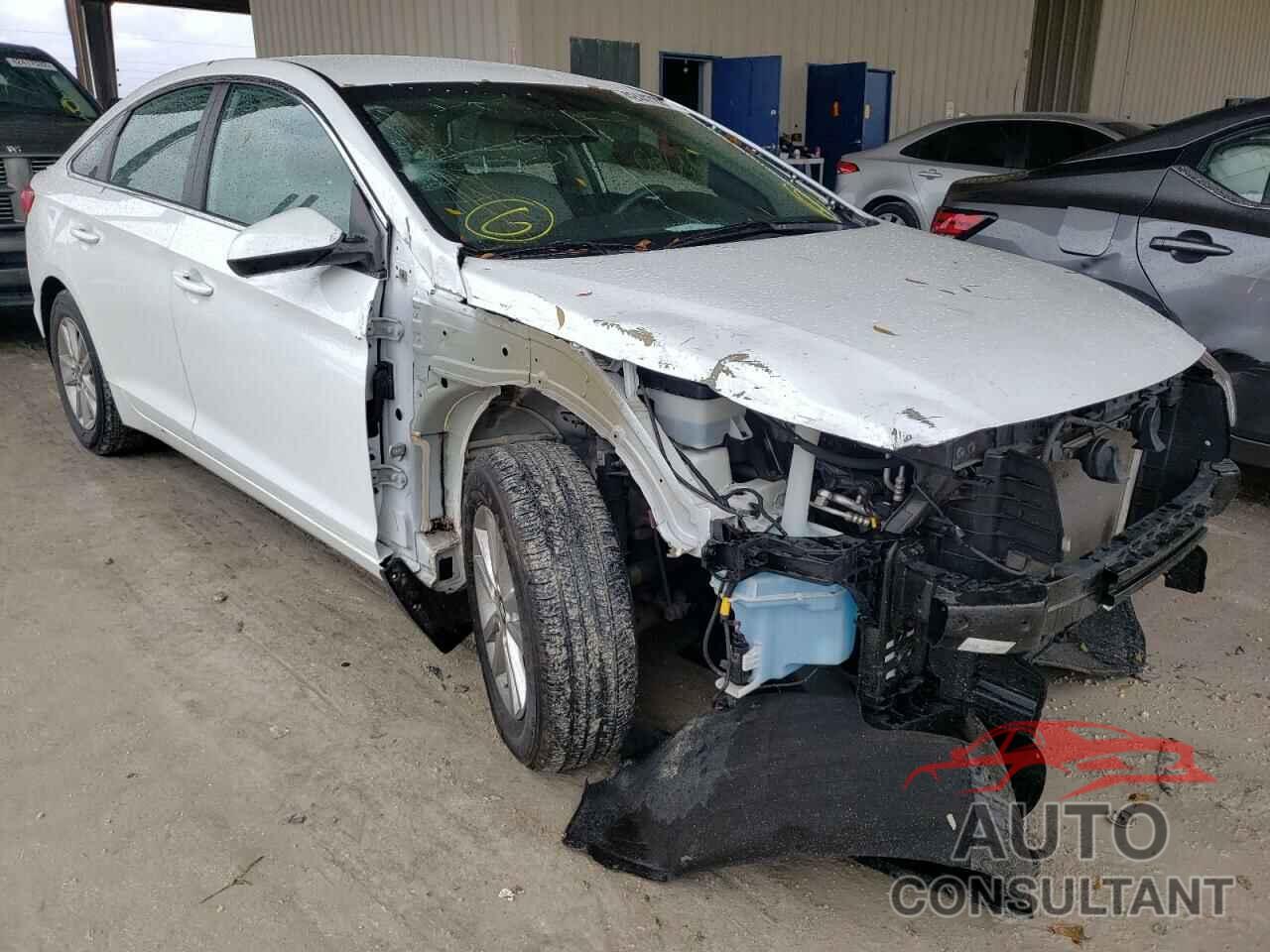 HYUNDAI SONATA 2017 - 5NPE24AF6HH459610