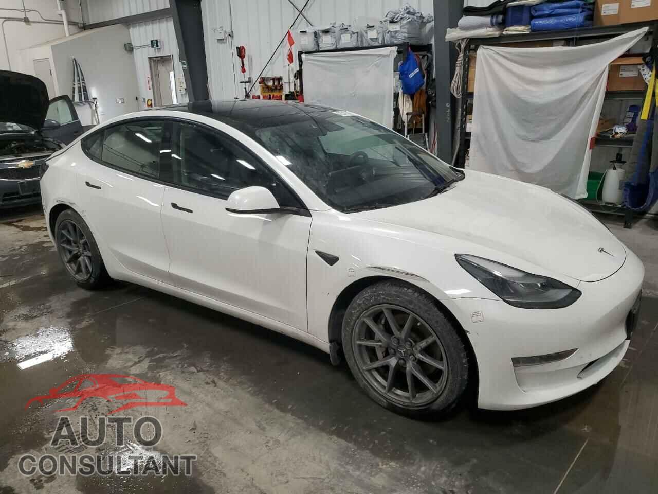 TESLA MODEL 3 2021 - 5YJ3E1EA5MF057985