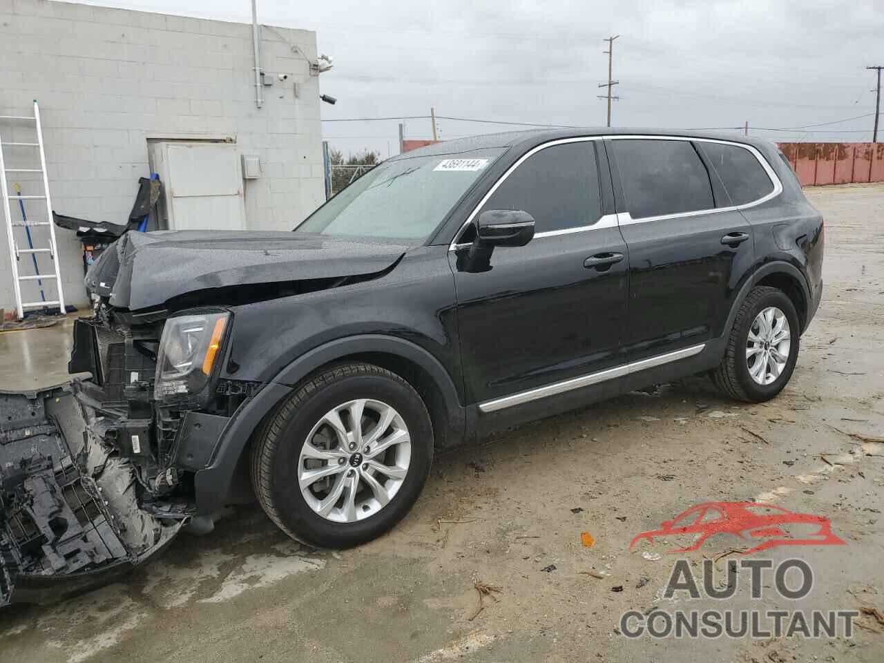 KIA TELLURIDE 2021 - 5XYP24HC1MG097661