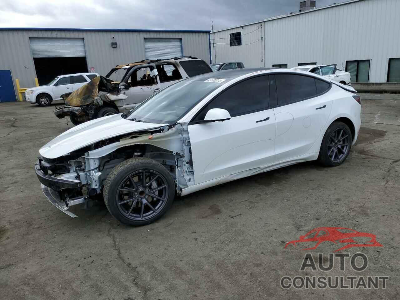 TESLA MODEL 3 2021 - 5YJ3E1EAXMF072790