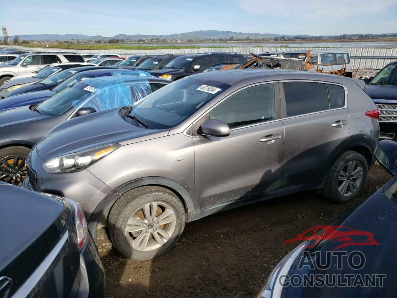 KIA SPORTAGE 2018 - KNDPMCAC0J7313832