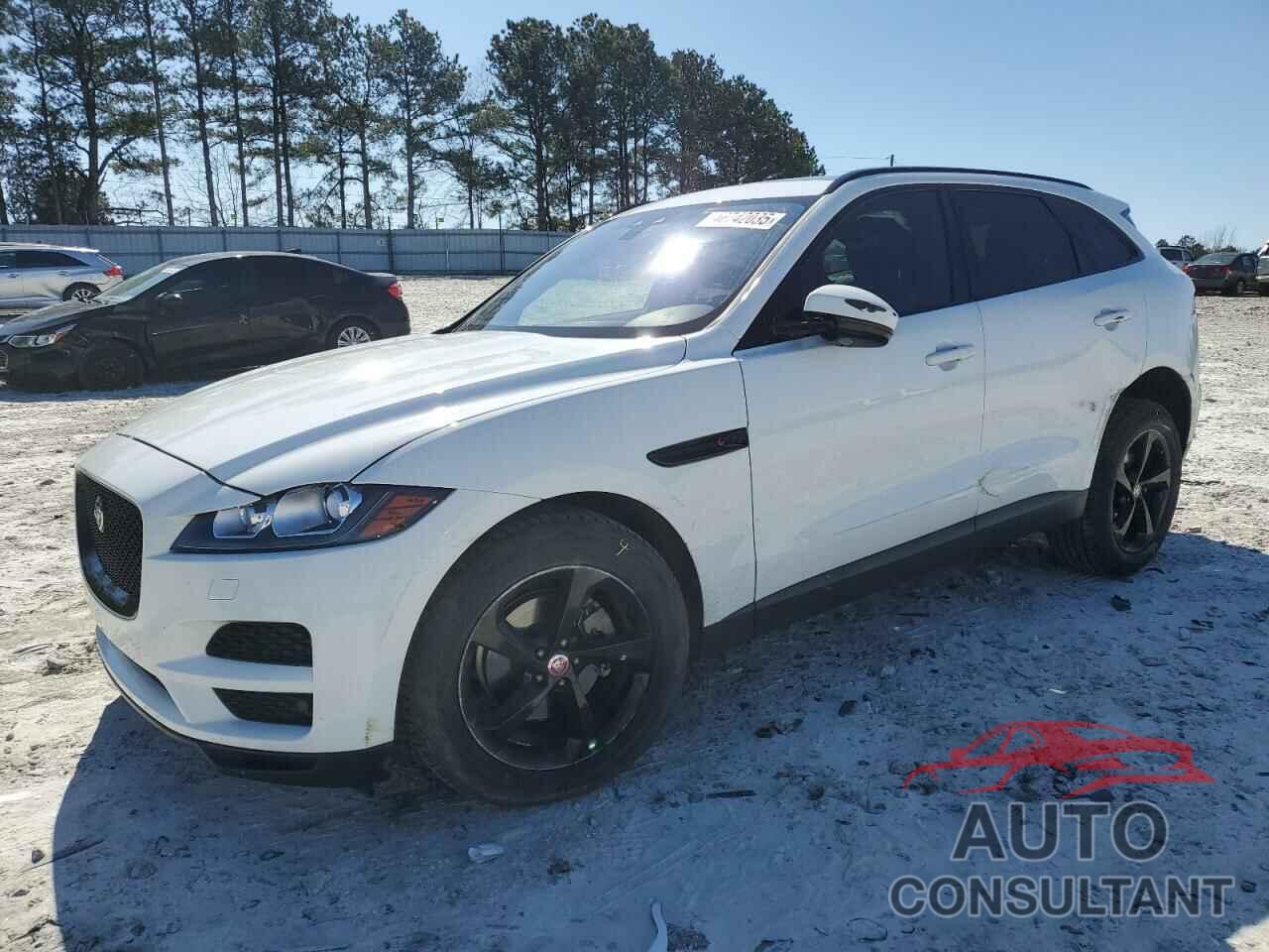 JAGUAR F-PACE 2020 - SADCJ2FX2LA660652