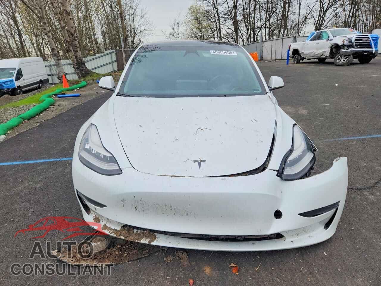 TESLA MODEL 3 2019 - 5YJ3E1EB9KF513976
