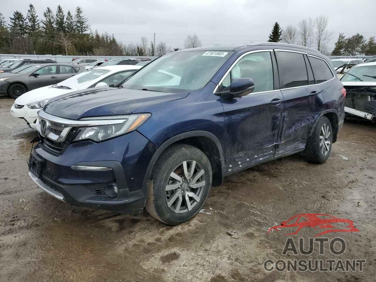 HONDA PILOT 2021 - 5FNYF6H79MB504740