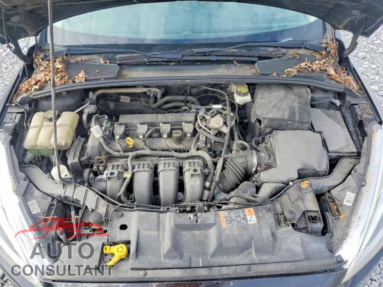 FORD FOCUS 2017 - 1FADP3K27HL286166