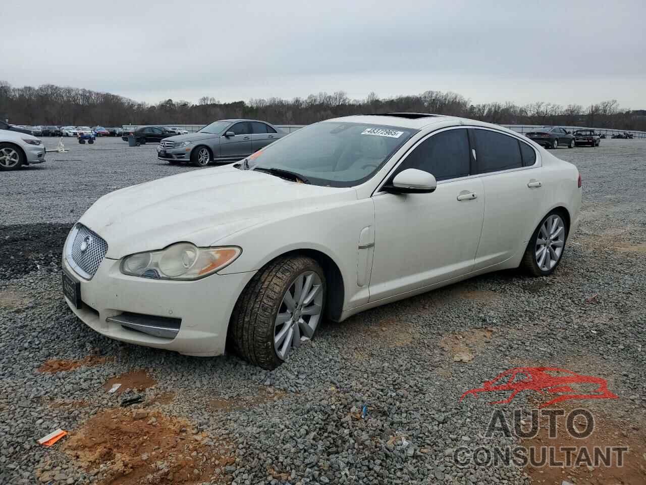 JAGUAR XF 2010 - SAJWA0GB5ALR55974