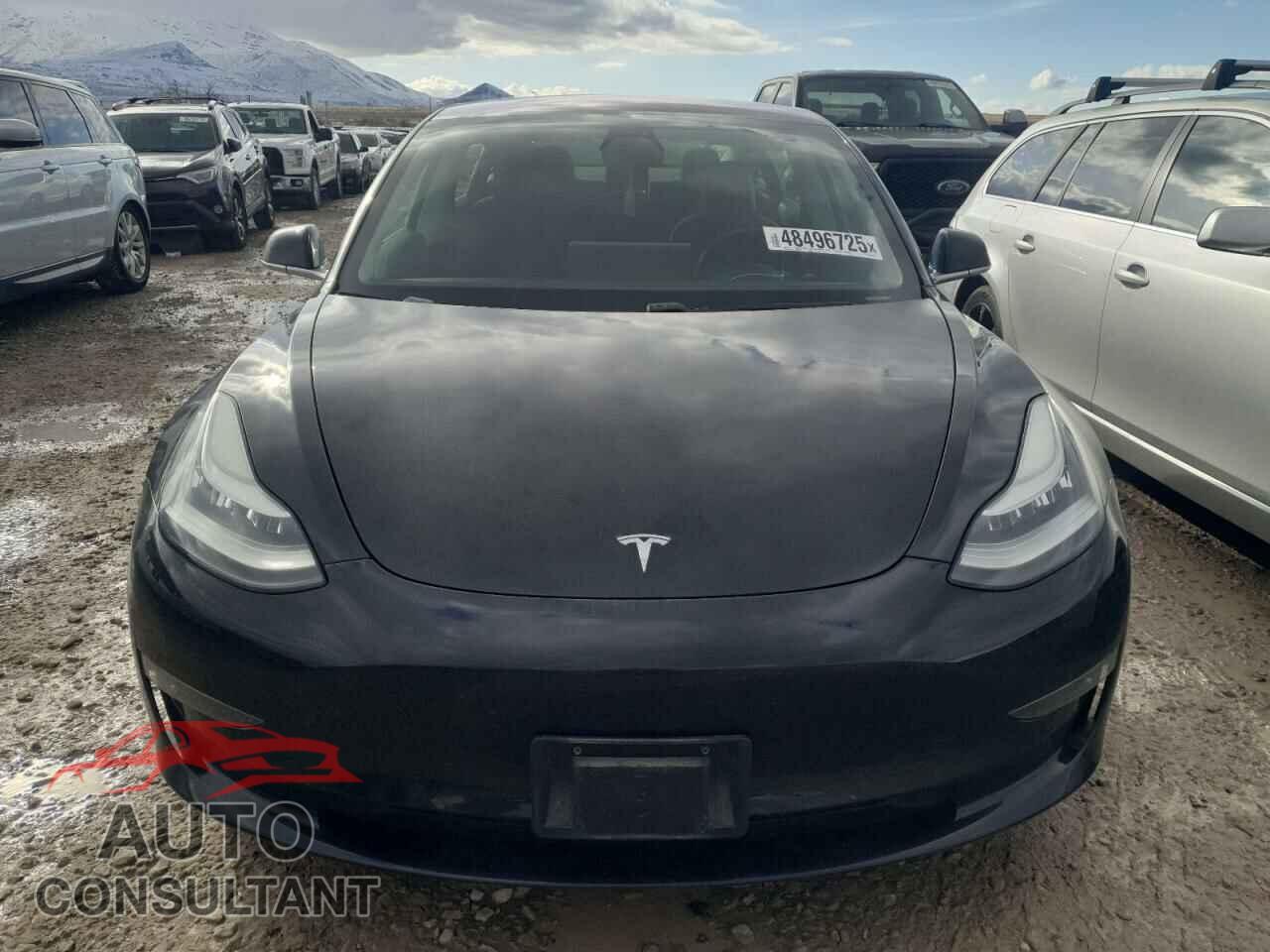 TESLA MODEL 3 2019 - 5YJ3E1EA3KF304384