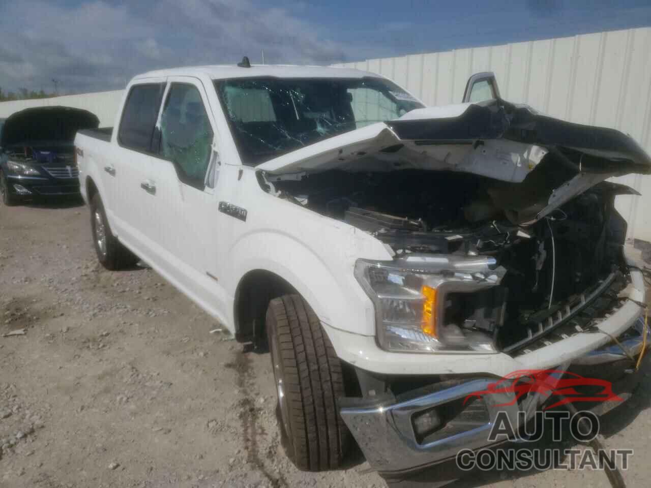 FORD F-150 2019 - 1FTEW1E53KKC46577