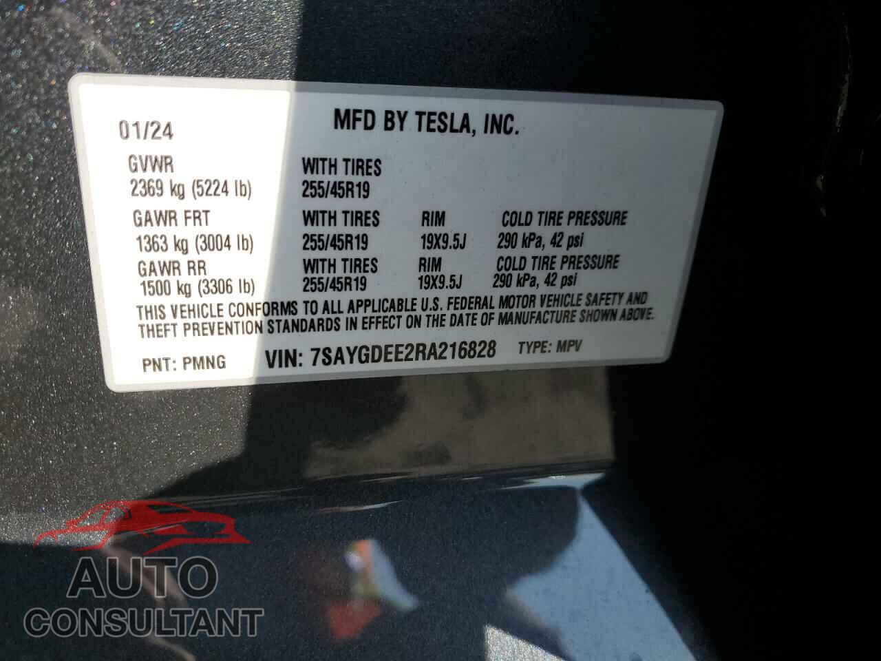TESLA MODEL Y 2024 - 7SAYGDEE2RA216828