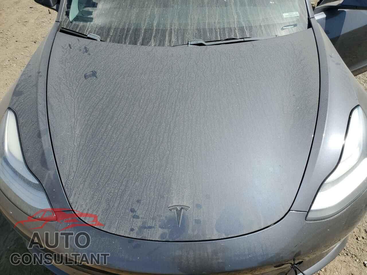 TESLA MODEL 3 2019 - 5YJ3E1EA8KF424715
