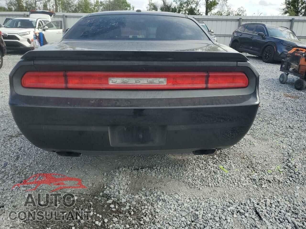 DODGE CHALLENGER 2014 - 2C3CDYBT2EH307622