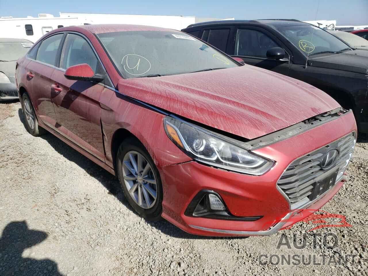 HYUNDAI SONATA 2019 - 5NPE24AF8KH778143