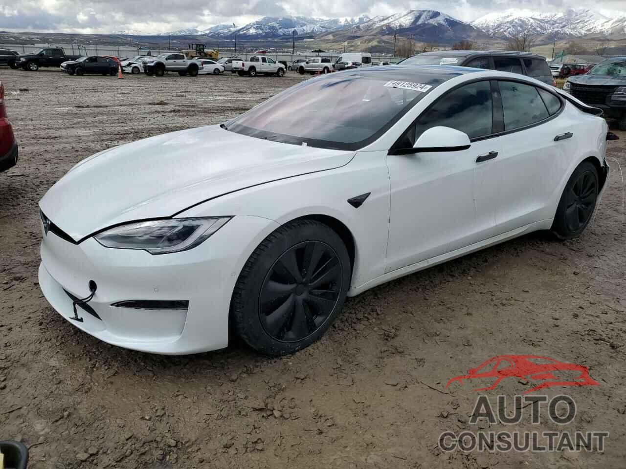 TESLA MODEL S 2021 - 5YJSA1E50MF439741