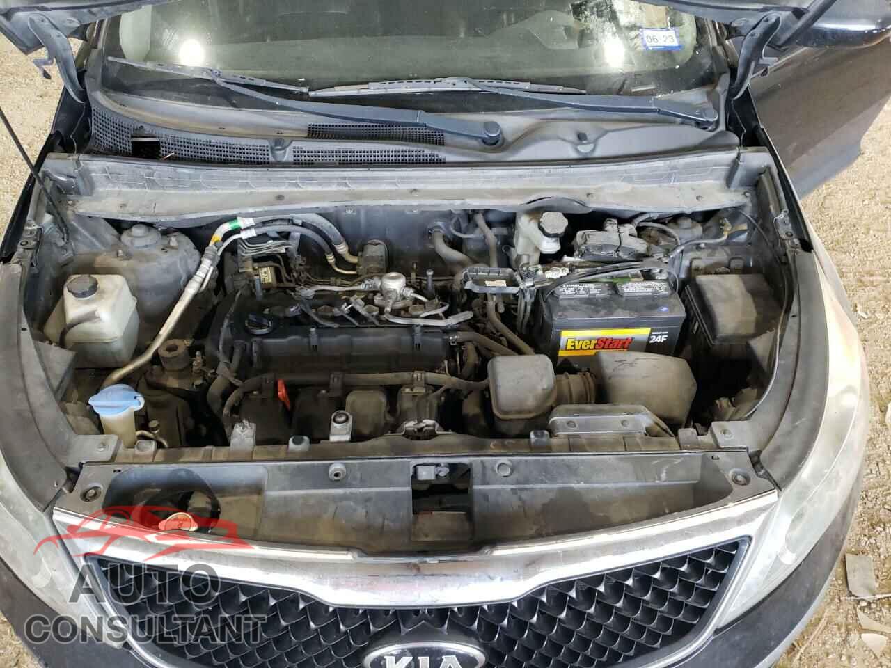 KIA SPORTAGE 2016 - KNDPC3AC3G7836225