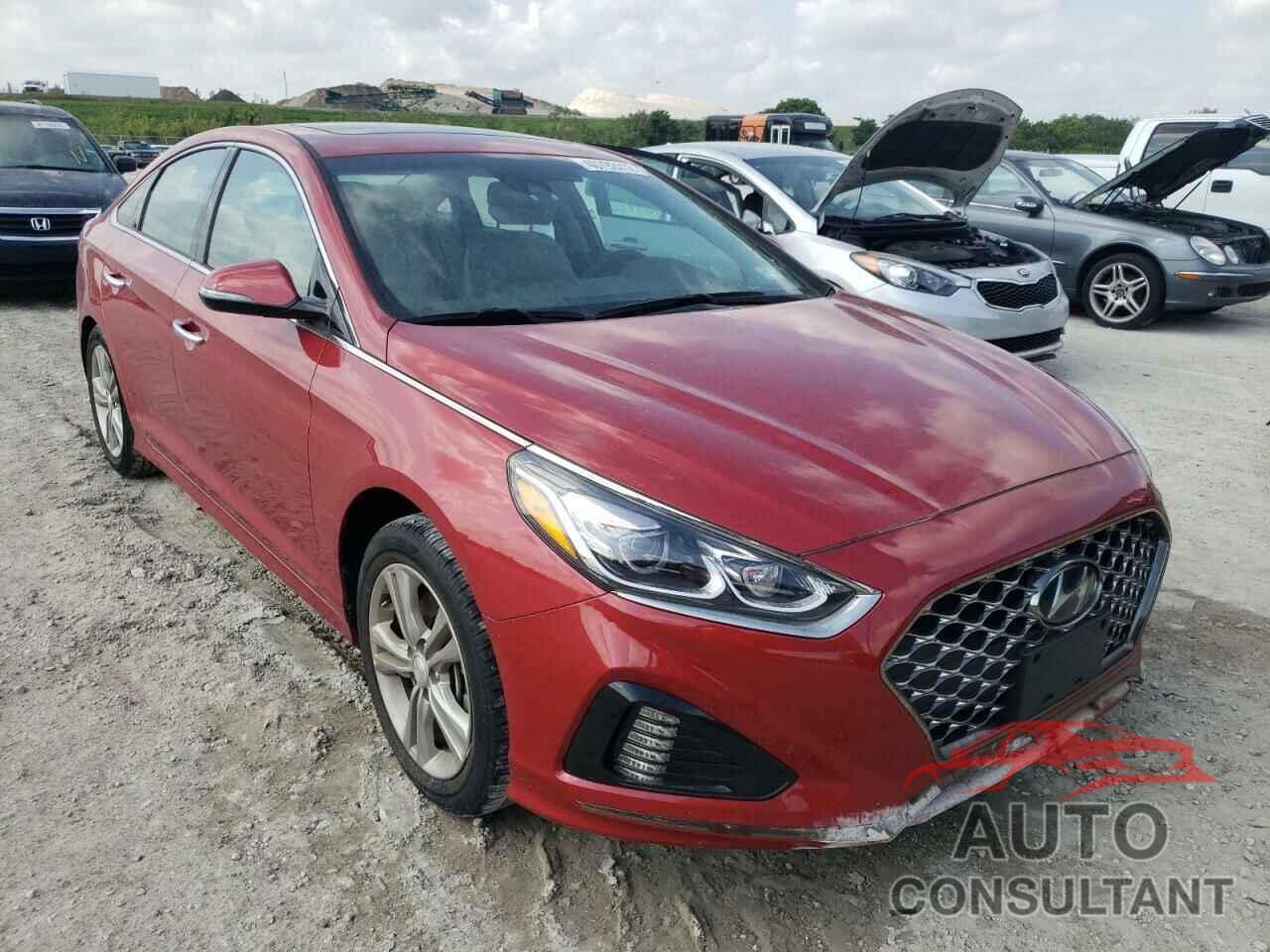 HYUNDAI SONATA 2019 - 5NPE34AF6KH766098