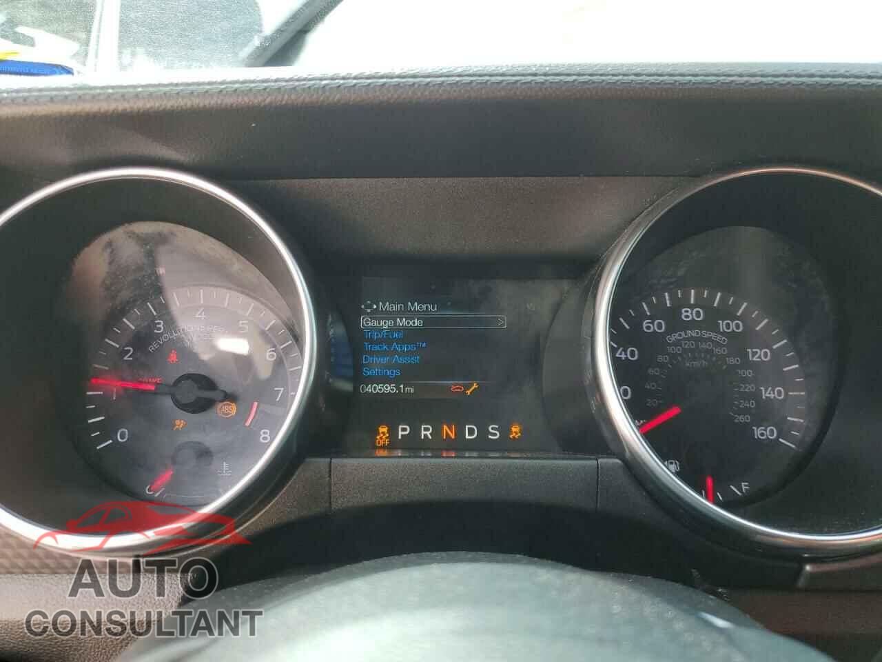 FORD MUSTANG 2019 - 1FA6P8CF3K5143301