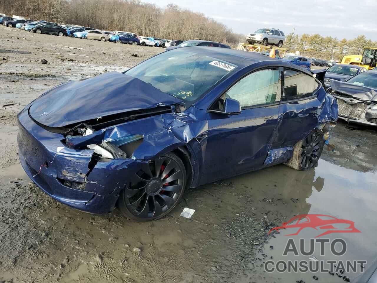 TESLA MODEL Y 2022 - 7SAYGDEF1NF467863