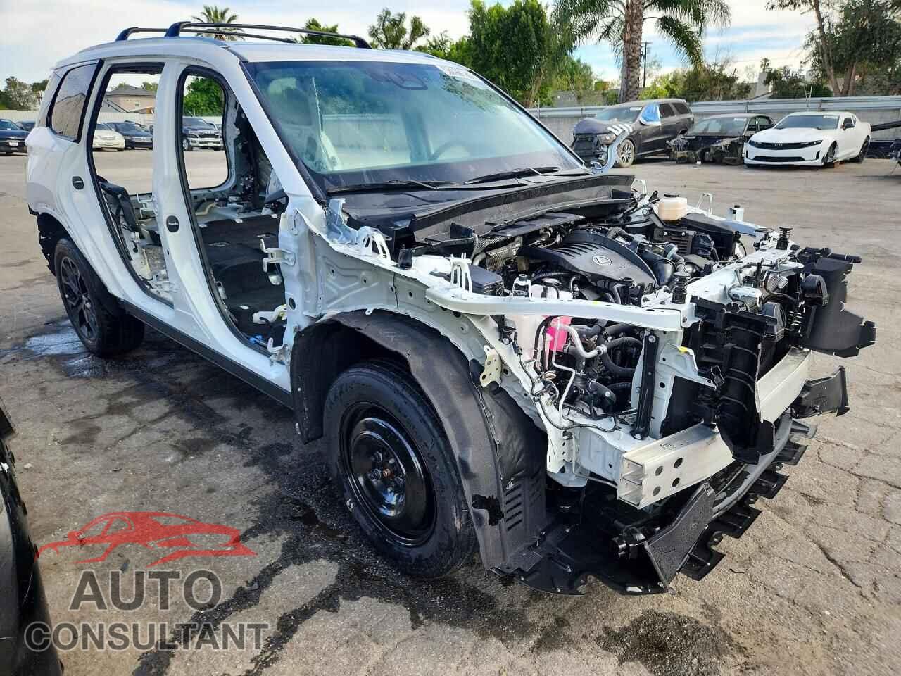 LEXUS UNKNOWN 2024 - 5TDAAAA64RS011944