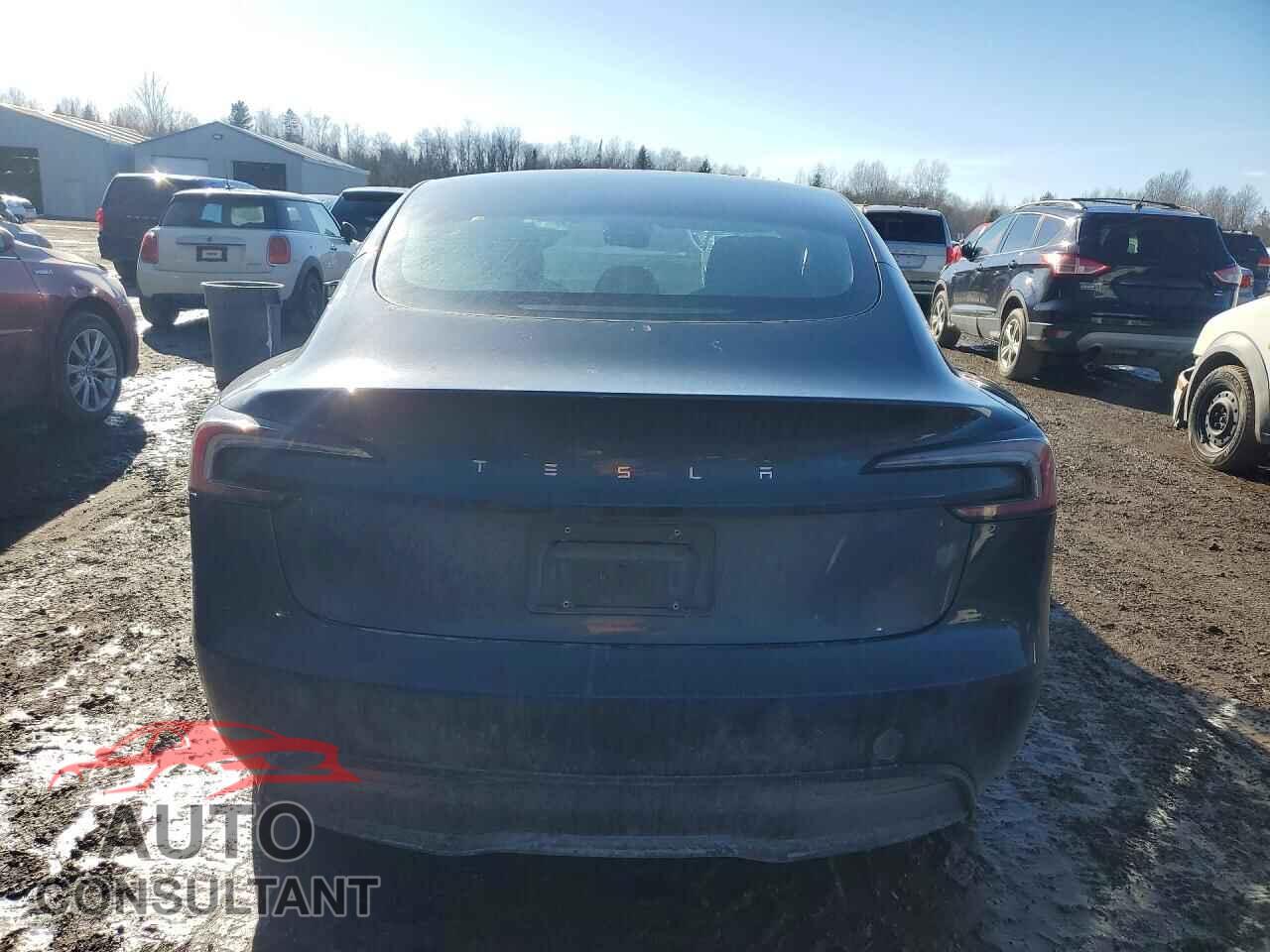 TESLA MODEL 3 2024 - LRW3E7FA6RC093865