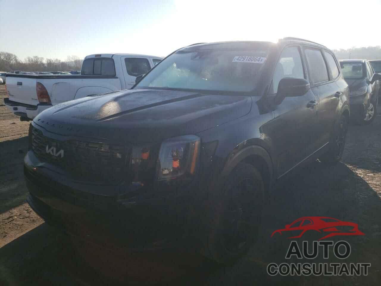 KIA TELLURIDE 2022 - 5XYP3DHC3NG217782