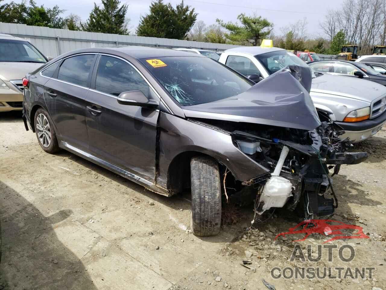 HYUNDAI SONATA 2016 - 5NPE34AF8GH317335