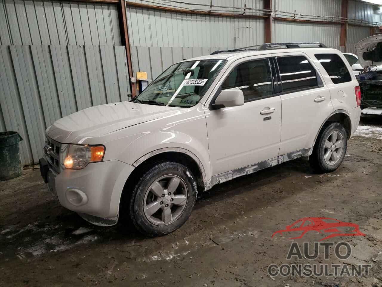 FORD ESCAPE 2011 - 1FMCU9EG1BKB21280
