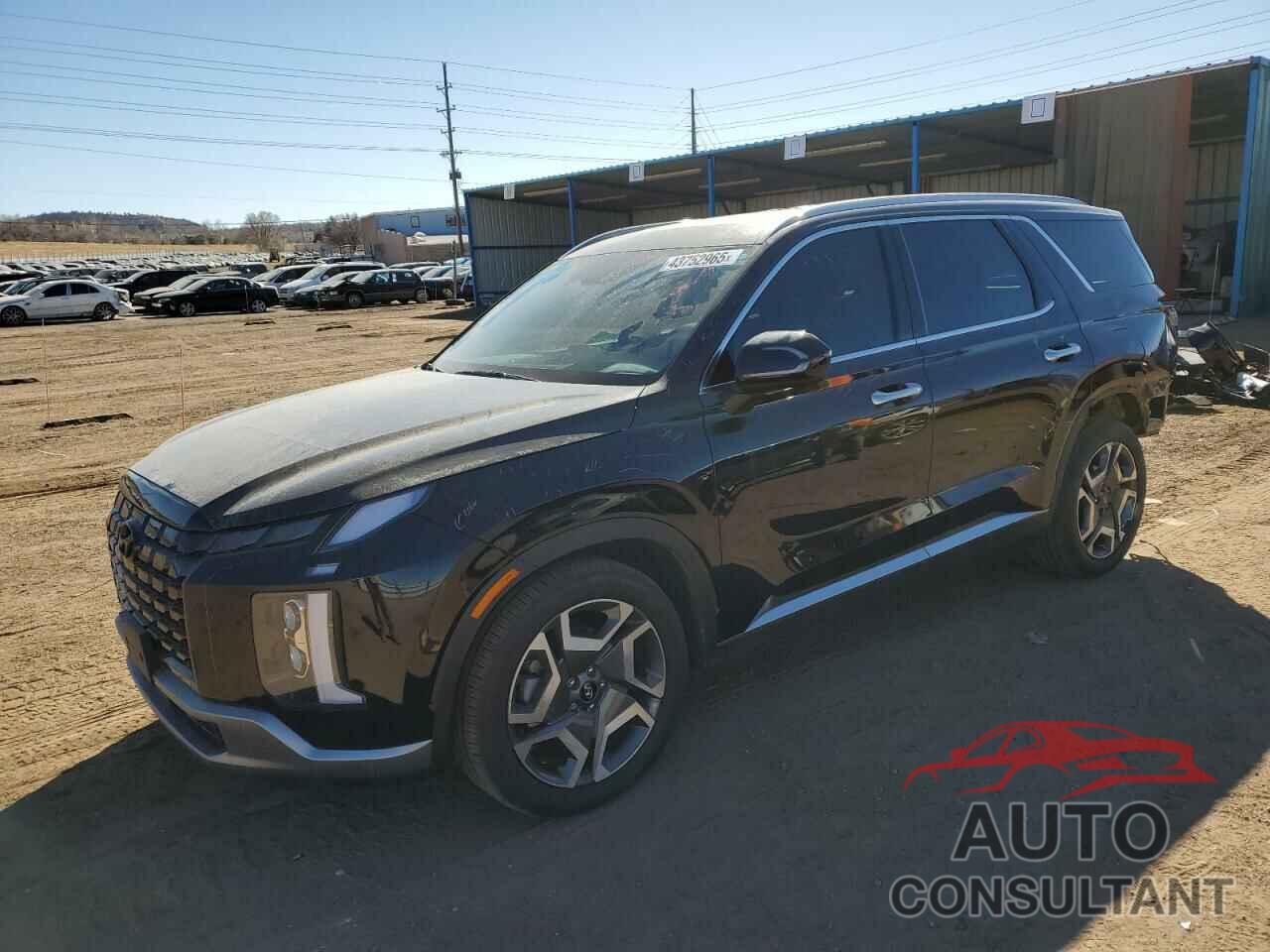 HYUNDAI PALISADE 2024 - KM8R5DGE7RU664993