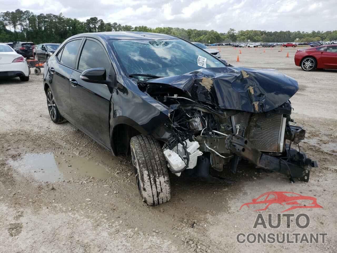2019 COROLLA TOYOTA