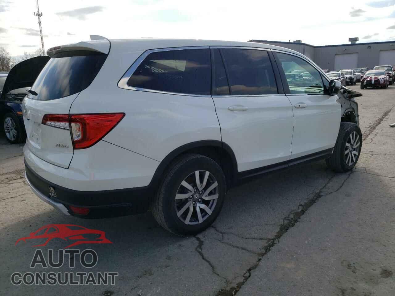 HONDA PILOT 2019 - 5FNYF6H55KB006434