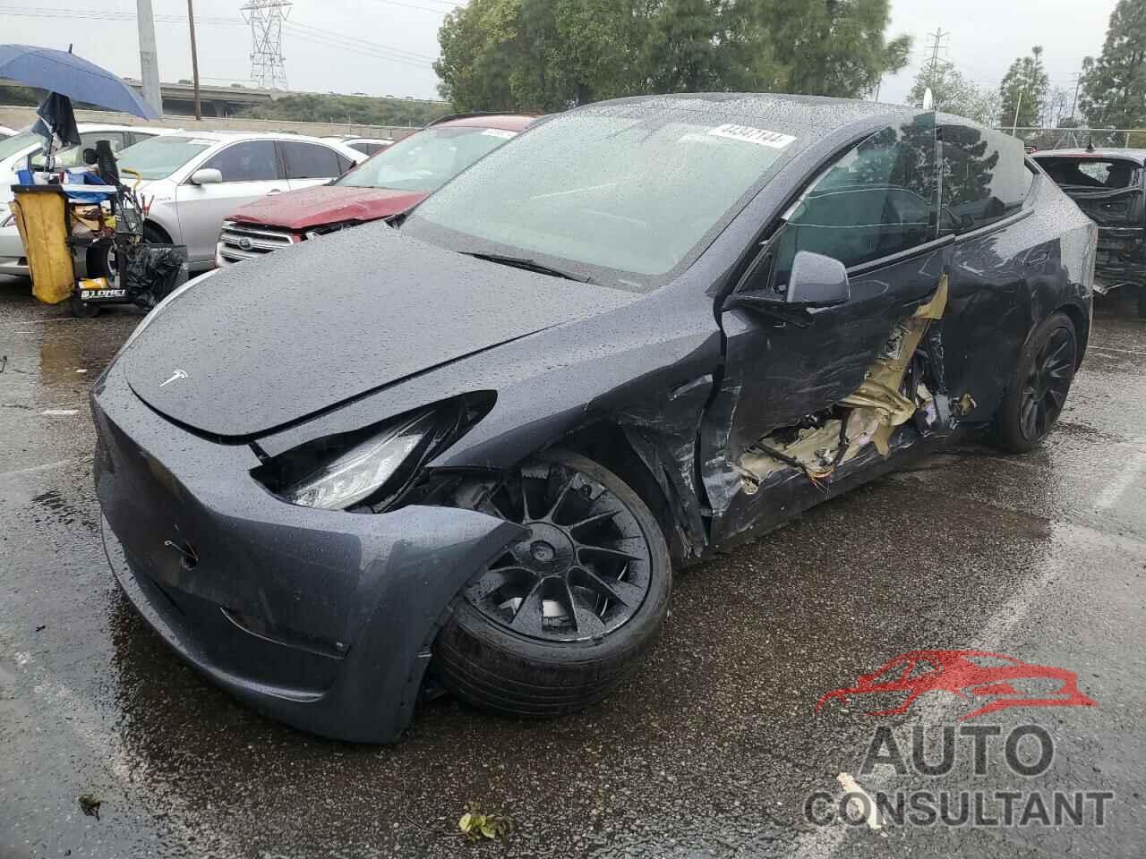 TESLA MODEL Y 2021 - 5YJYGDEE1MF286152