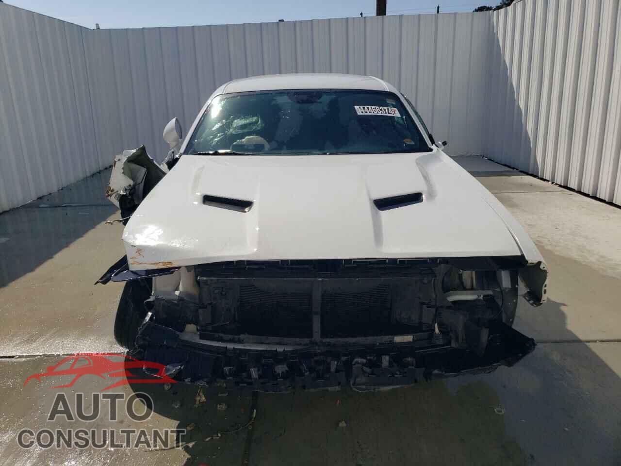 DODGE CHALLENGER 2019 - 2C3CDZAG1KH534791