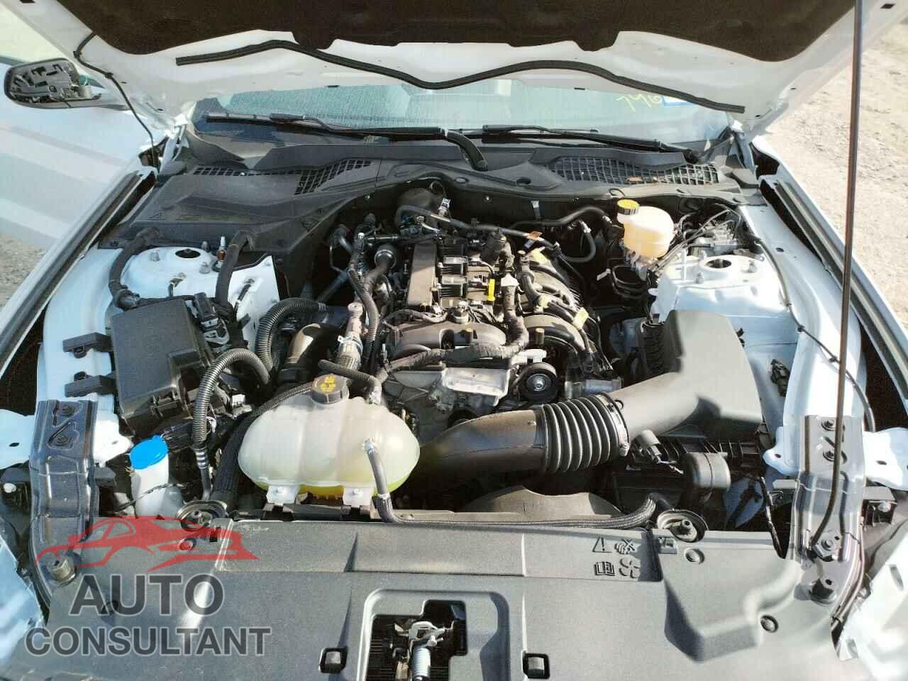 FORD MUSTANG 2022 - 1FA6P8TH3N5107968