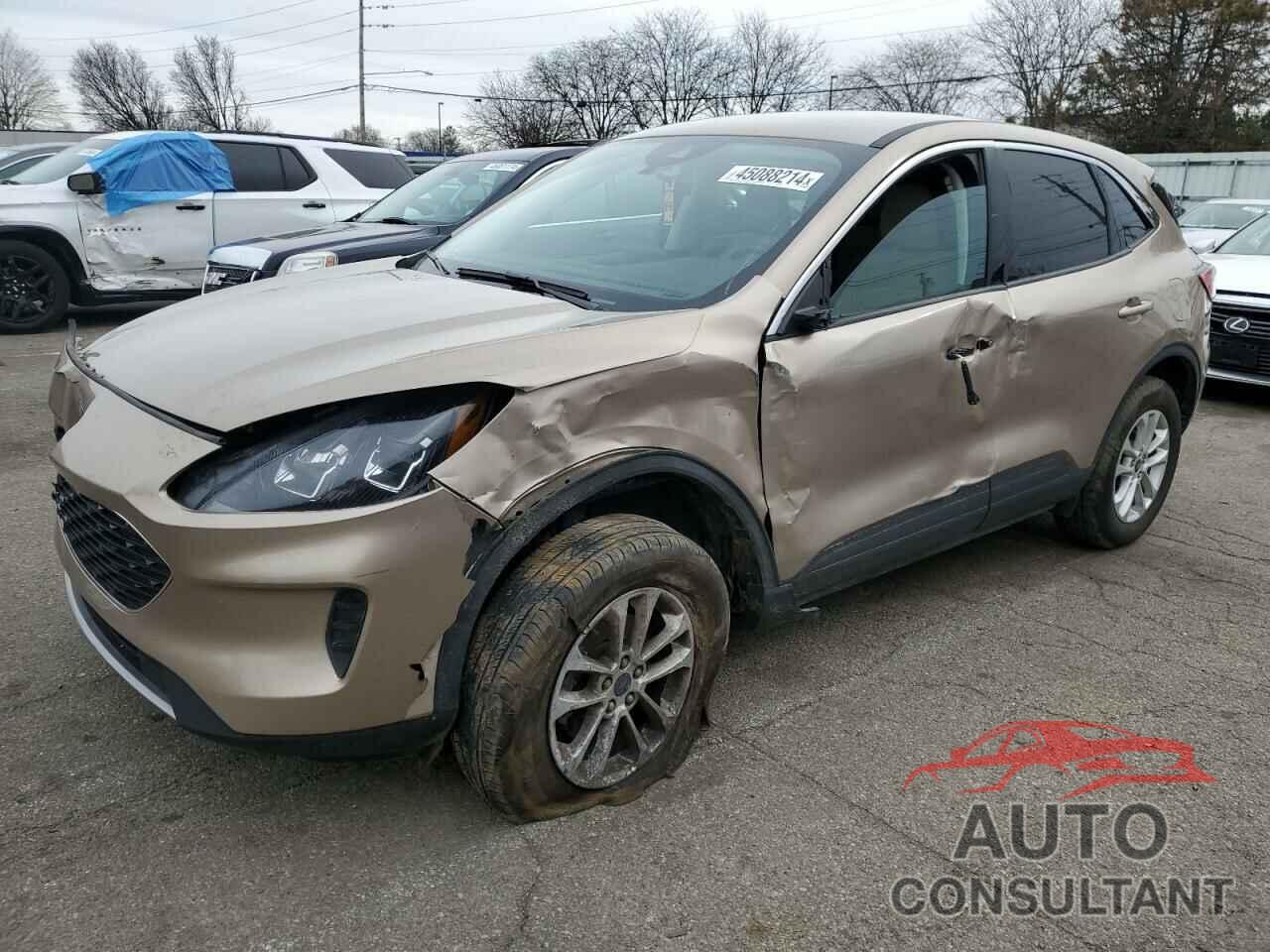 FORD ESCAPE 2021 - 1FMCU9G68MUA91576