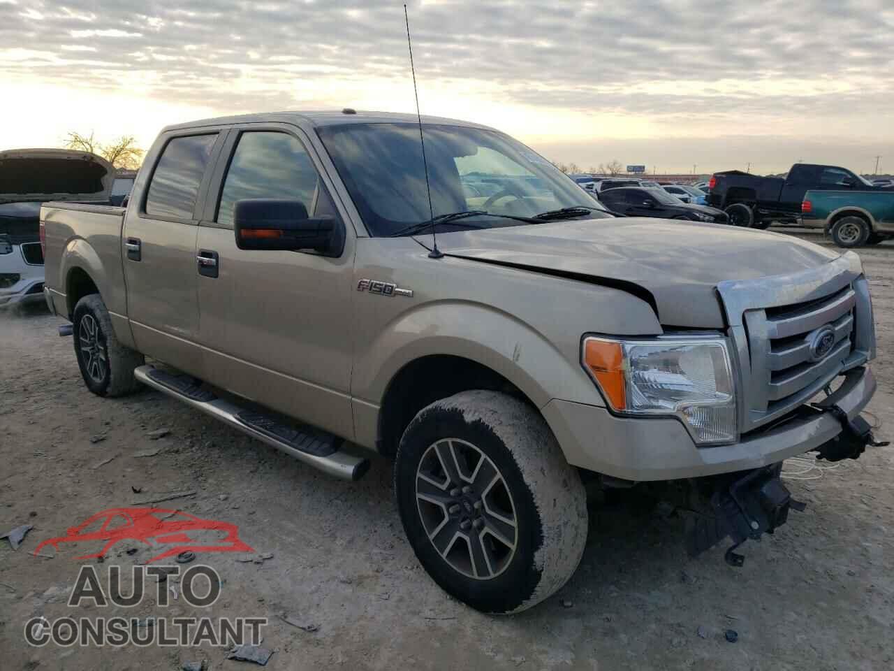 FORD F-150 2010 - 1FTEW1C8XAFD55364