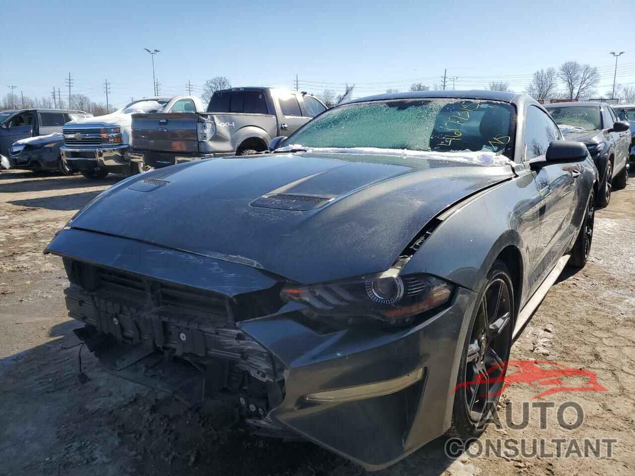 FORD ALL Models 2019 - 1FA6P8TH3K5173562